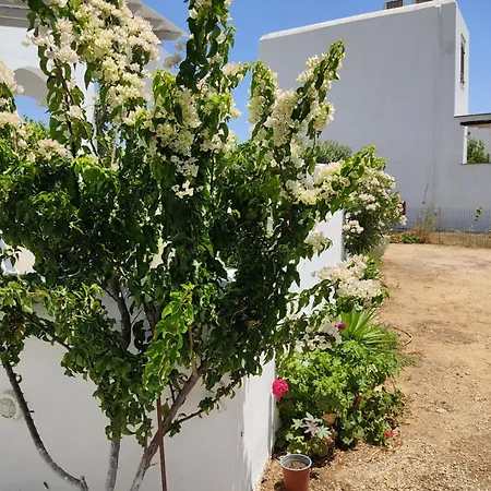 Lena Kır Evi